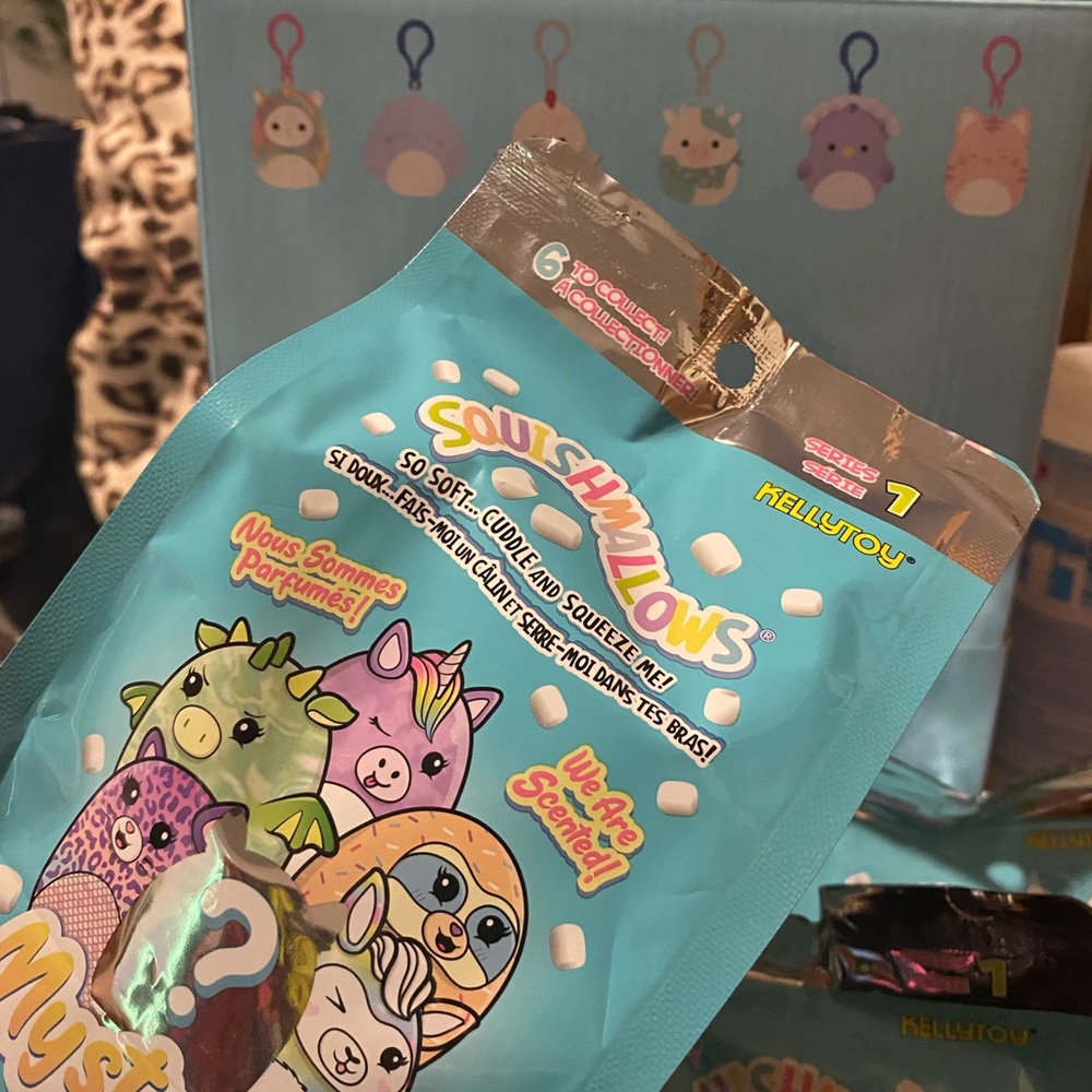 squishmallow mystery bag